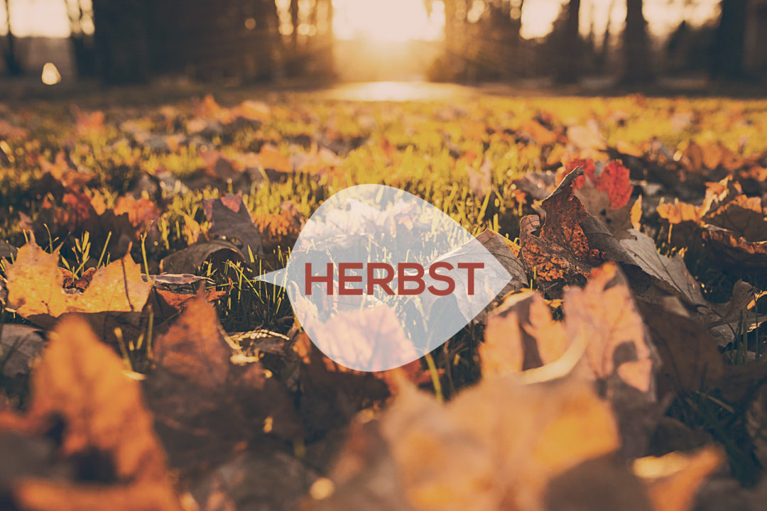Endlich Herbst! Endlich Herbst