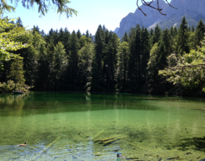 Hotel am Badersee