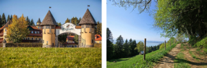 Das Hotel Guglwald startet beim München Marathon mit der Laufgruppe "Guglwald bewegT"