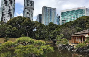 Der Hama-rikyu Garden liegt in Tokyo